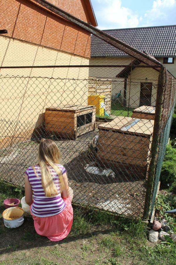 Dziemiany Wypoczynek Kocia Goraヴィラ エクステリア 写真